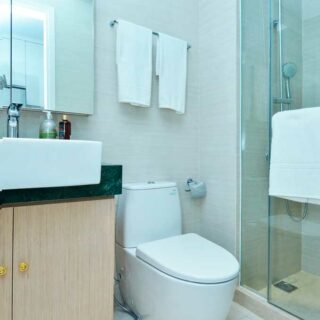 Réparation de WC à Jacou dans l'Hérault